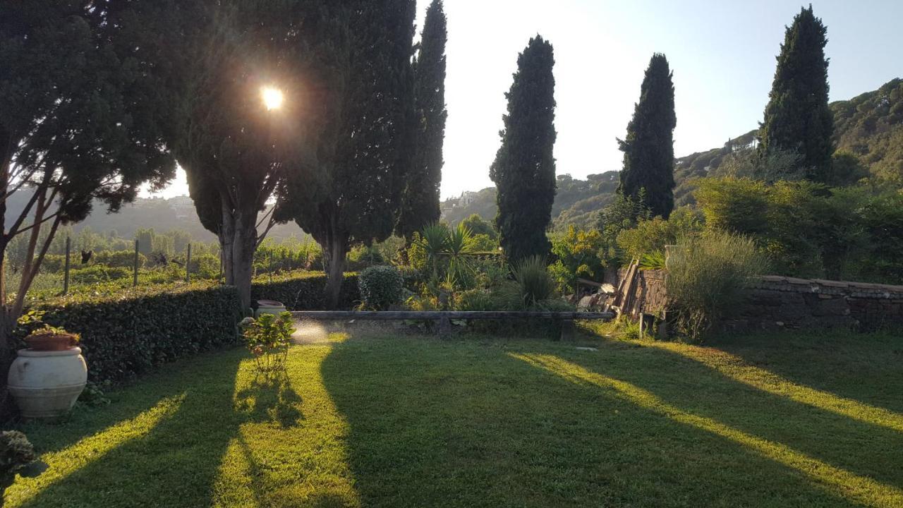 Il Nido Del Falco Castel Gandolfo Extérieur photo